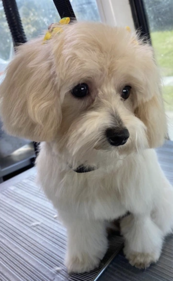 capture d’écran 2025 12 04 à 18.11.37