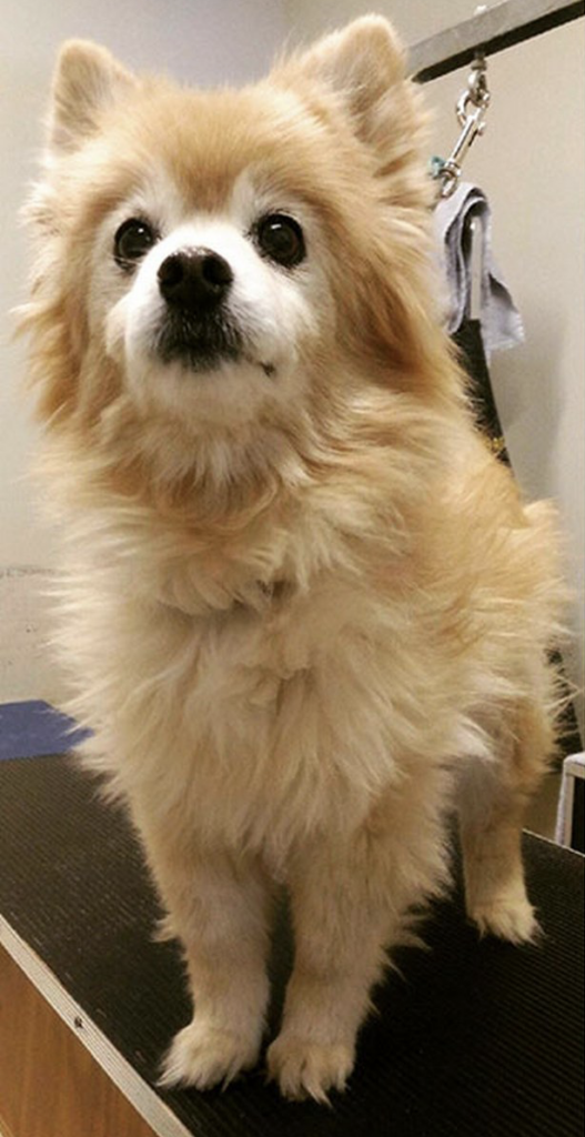 capture d’écran 2025 12 04 à 18.16.34