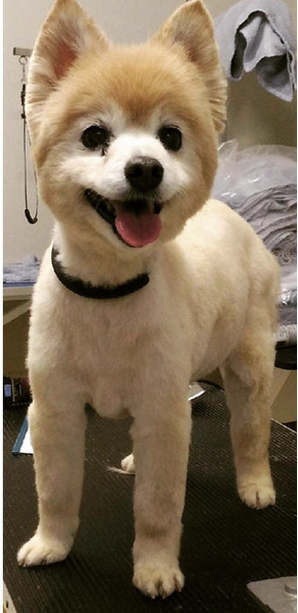 capture d’écran 2025 12 04 à 18.16.50