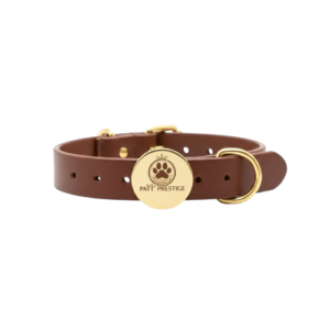 img 1896 removebg preview