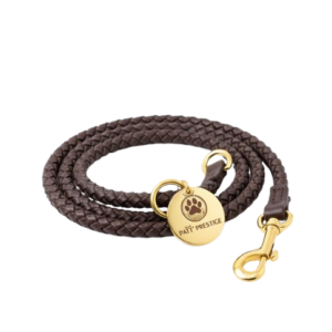 img 1899 removebg preview