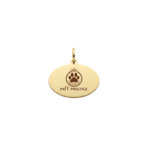 img 1900 removebg preview