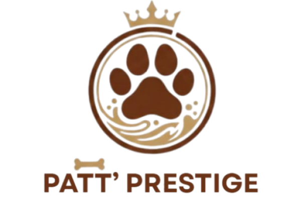 android chrome 512x512